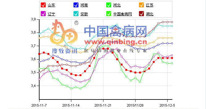 中国禽病网