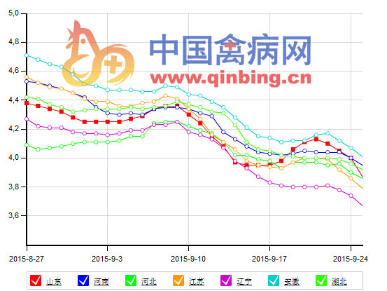 9月鸡蛋价格走势分析--资讯-中国禽病网-